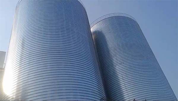 和硕2座混凝土高架卷板仓